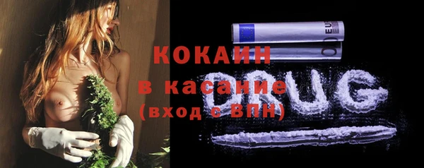 дживик Арсеньев
