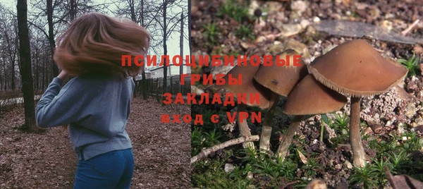 дживик Арсеньев