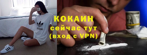 индика Балахна