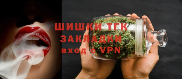 дживик Арсеньев