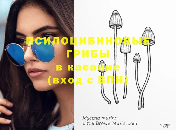 стафф Армянск