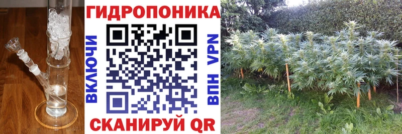 Бошки марихуана OG Kush  Петровск 